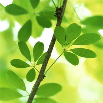 亚搏全站APP官网下载