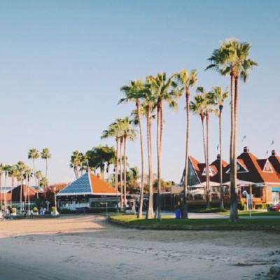 亚搏全站APP官网下载截图