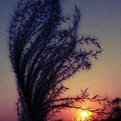 ng体育电子游戏下载手机版